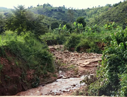 ADAPTING AFRICAN CITIES TO CLIMATE CHANGE