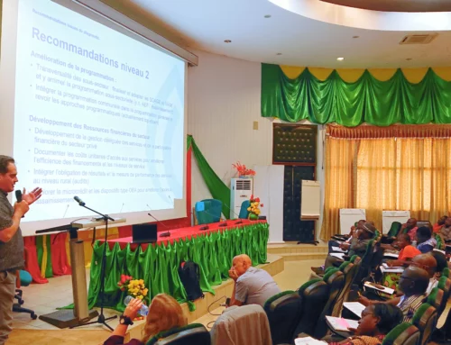 SUSTAINABLE ACCESS TO DRINKING WATER AND SANITATION IN BURKINA FASO