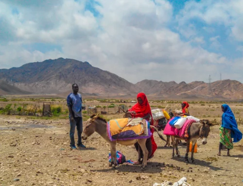 AMÉNAGEMENT DU SECTEUR DE LAYABLEH-MOUSTIQUAIRE A DJIBOUTI