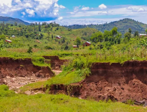 A MORE RESILIENT WATER SECTOR IN THE FACE OF CLIMATE CHANGE IN BURUNDI