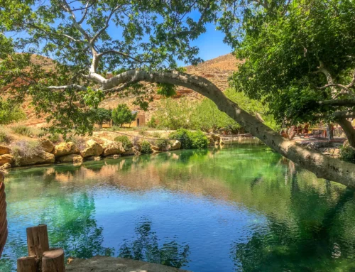 UNE GESTION INTÉGRÉE DES RESSOURCES EN EAU AU LIBAN