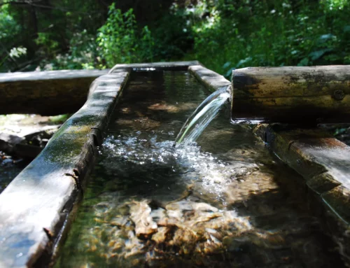 DIAGNOSTICS NATIONAUX DE LA GESTION DE L’INFORMATION AU PÉROU, COSTA-RICA, PANAMA ET COLOMBIE