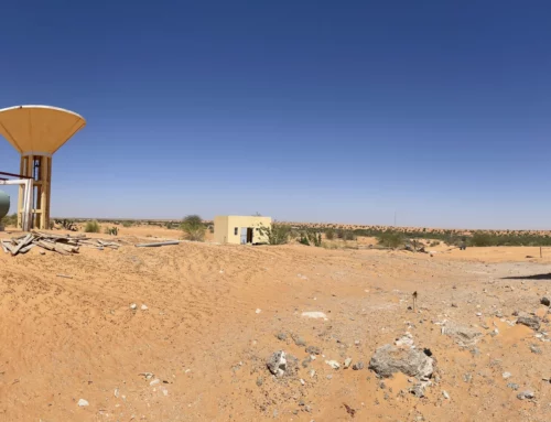 IMPROVING ACCESS TO SANITATION AND ESTABLISHING A SUSTAINABLE NATIONWIDE SANITATION SECTOR IN MAURITANIA