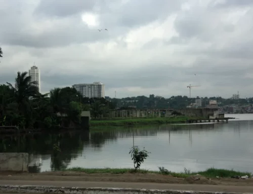 CARTOGRAPHIE ET MODÉLISATION DES EAUX SOUTERRAINES PAR TÉLÉDÉTECTION ET ANALYSE HYDROGÉOLOGIQUE EN CÔTE D&rsquo;IVOIRE